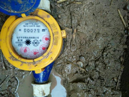 如何正確讀取水表，精準掌握家庭用水量