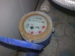 老師傅把前置過濾器裝在屋外，開始并不明白，一問才知好處這么多